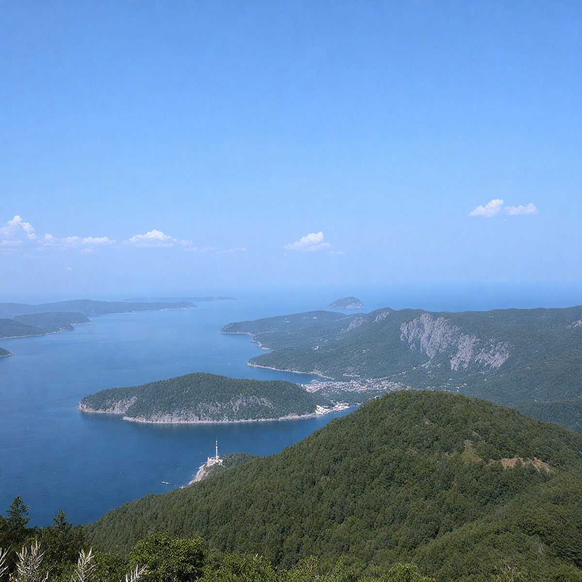 ac317fb8-d598-4daa-b04c-0247bfbea2e7-turkish-forests-island-62e8a0_250319182546_Filename Text 2_04066_Filename Text 3_result.jpg